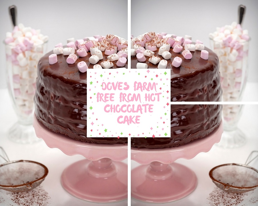Doves Farm Free From Hot Chocolate Cake
