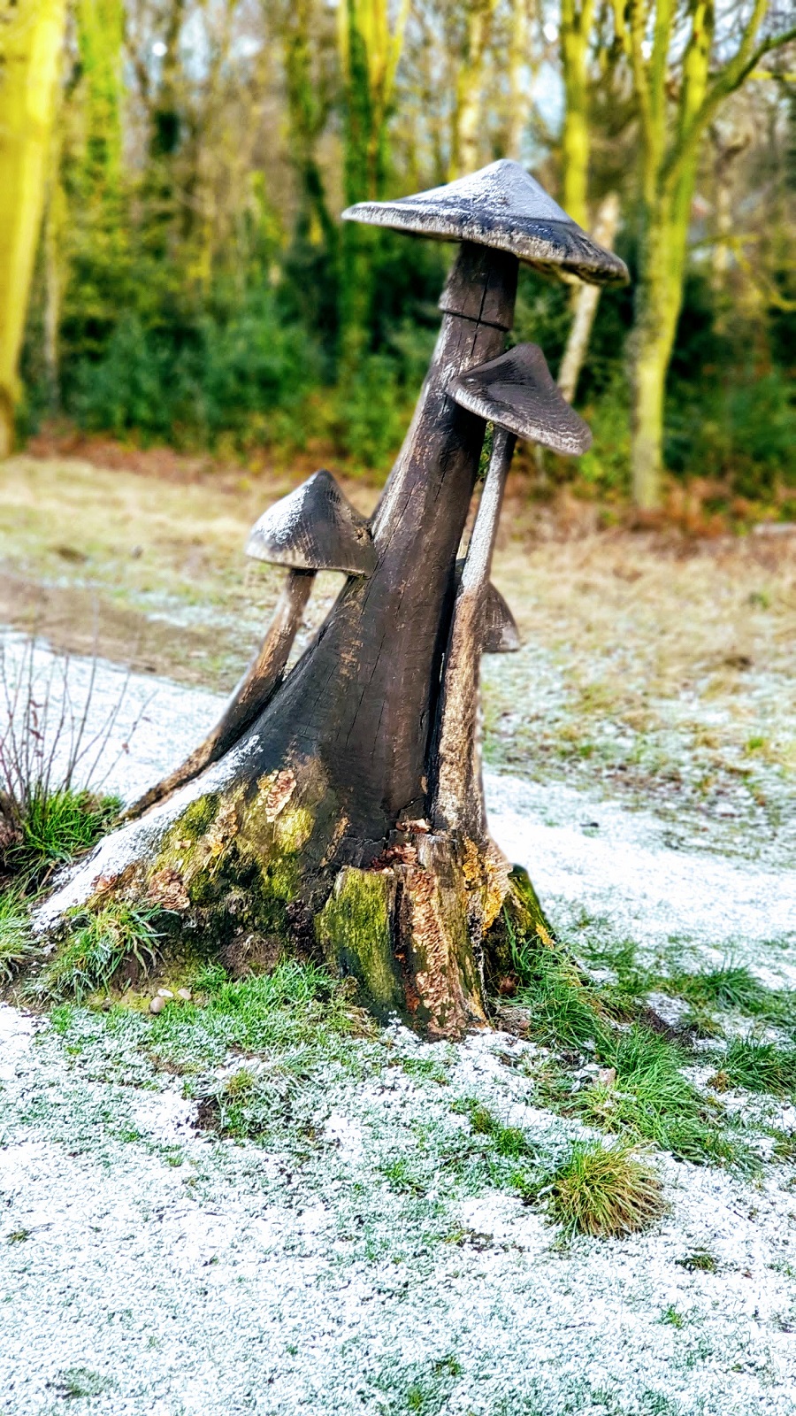 Snow On The Higher Ground: Walkies With Mollie