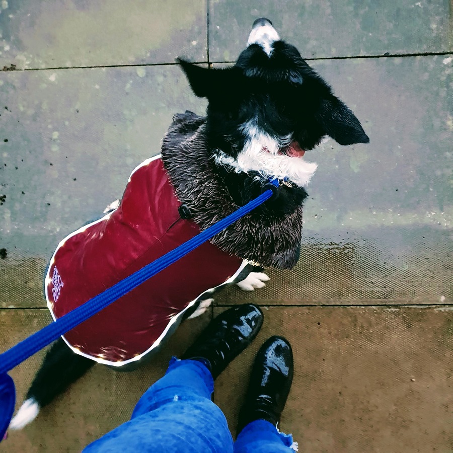 Coat And Boot Weather Outside Coat And Boot Weather: