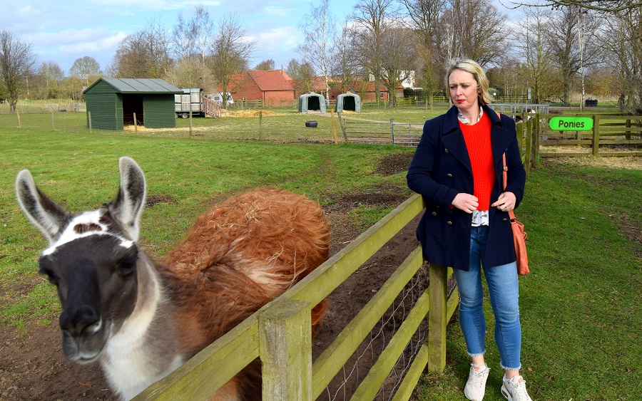 Llamas at White Post farm What I Wore To White Post Farm in Nottingham.