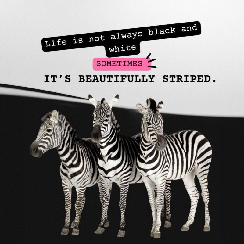 Life is not always black and white—sometimes, it’s beautifully striped.