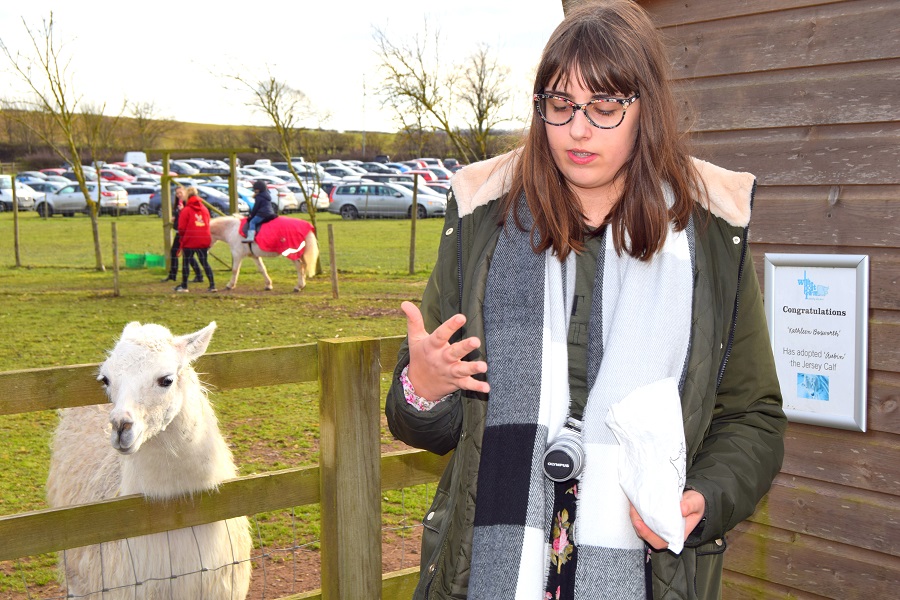 Llama Drama: A Trip To The Farm: Llama Drama: A Trip To The Farm