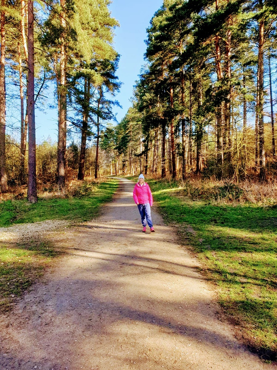 Wrapping Up And Going For A Walk: Wednesday Link Up