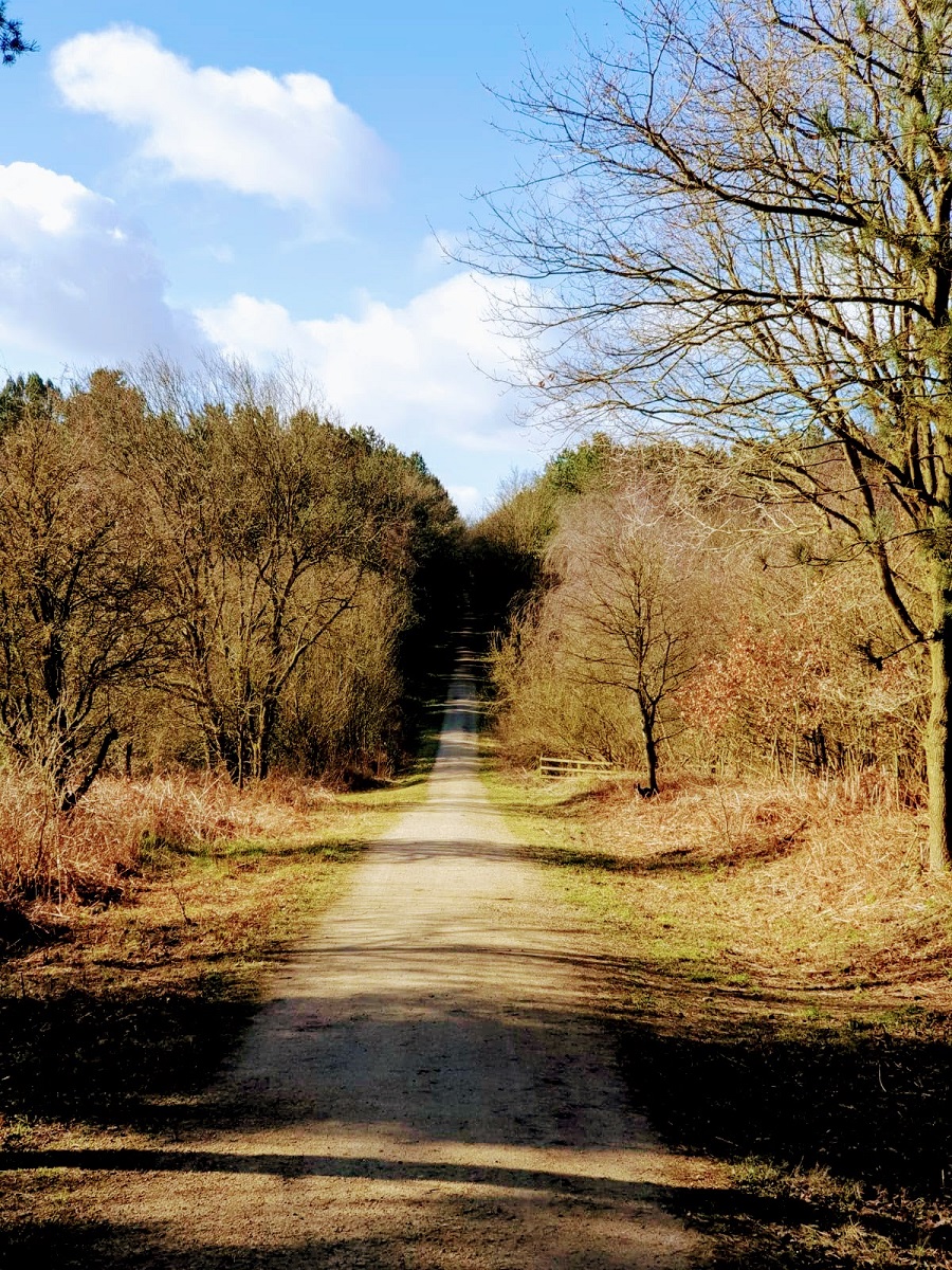 Wrapping Up And Going For A Walk: Wednesday Link Up