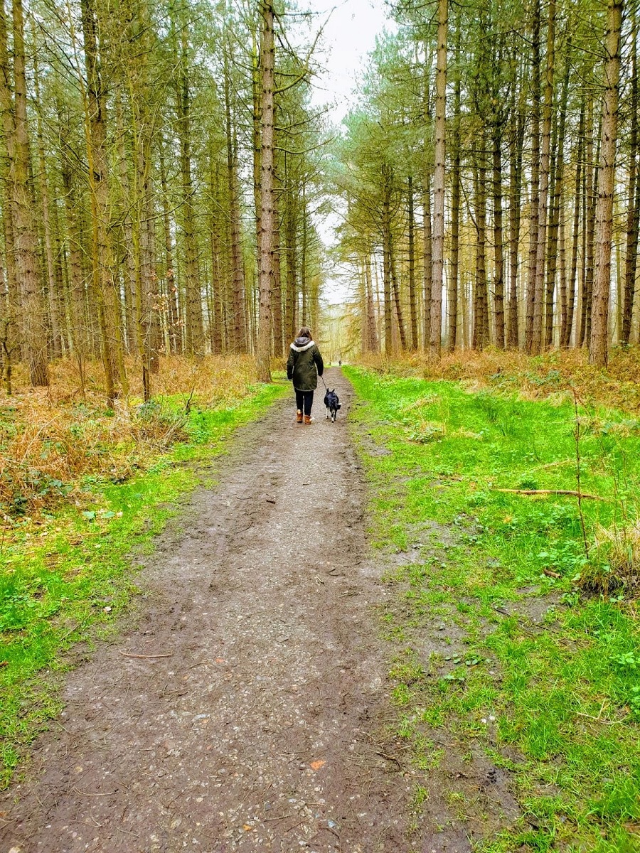 Wrapping Up And Going For A Walk: Wednesday Link Up