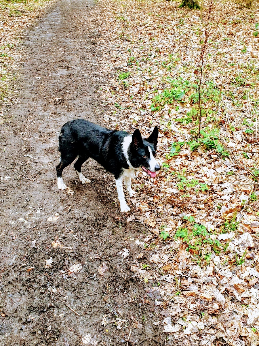 Wrapping Up And Going For A Walk: Wednesday Link Up