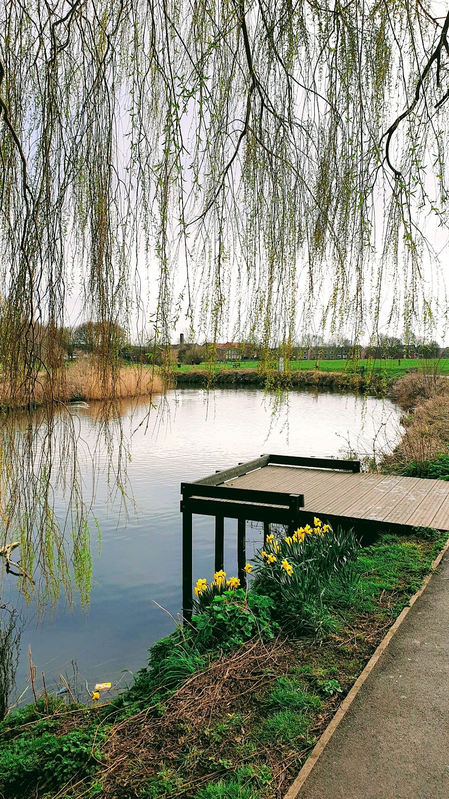 Hello Spring And A New Floral Spring Dress #LinkUp﻿