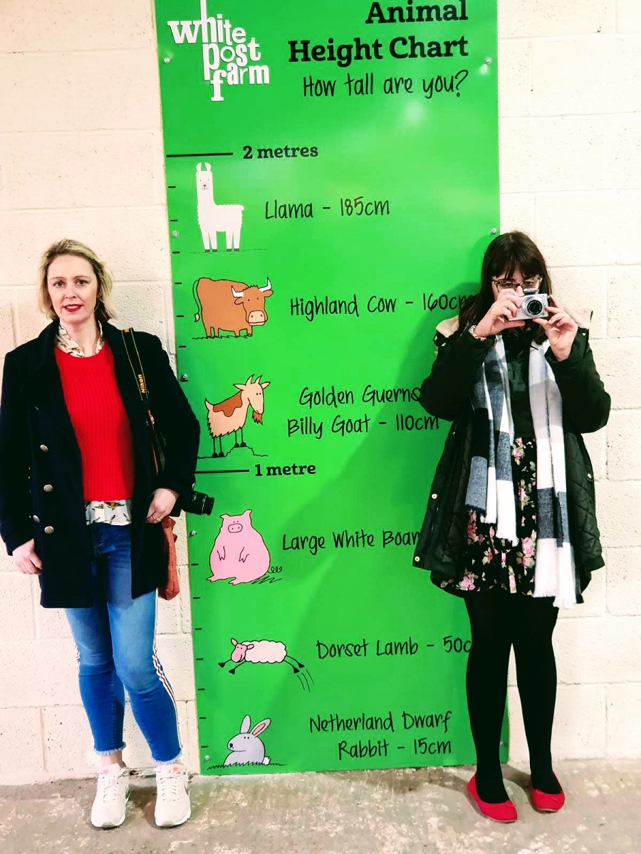 Not As Tall As A Llama. Weekend Link Up. Not As Tall As A Llama. Weekend Link Up.