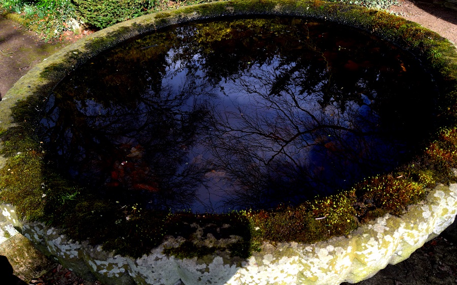 Newstead Abbey Rose Garden Fountain Nottingham