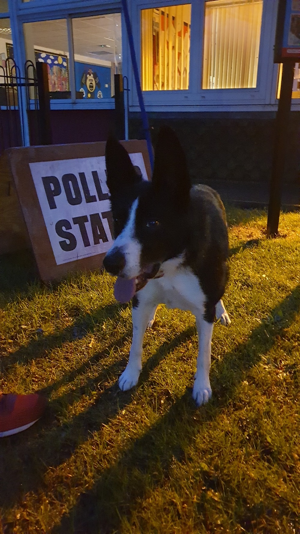 9 Pictures From My Phone Camera Roll #LinkUp