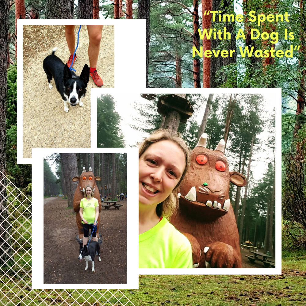 Time Spent With A Dog Is Never Wasted