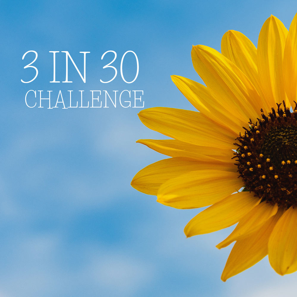 3 In 30 Challenge