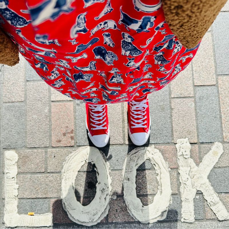 Raining Cats And Dogs & Red Converse All Stars