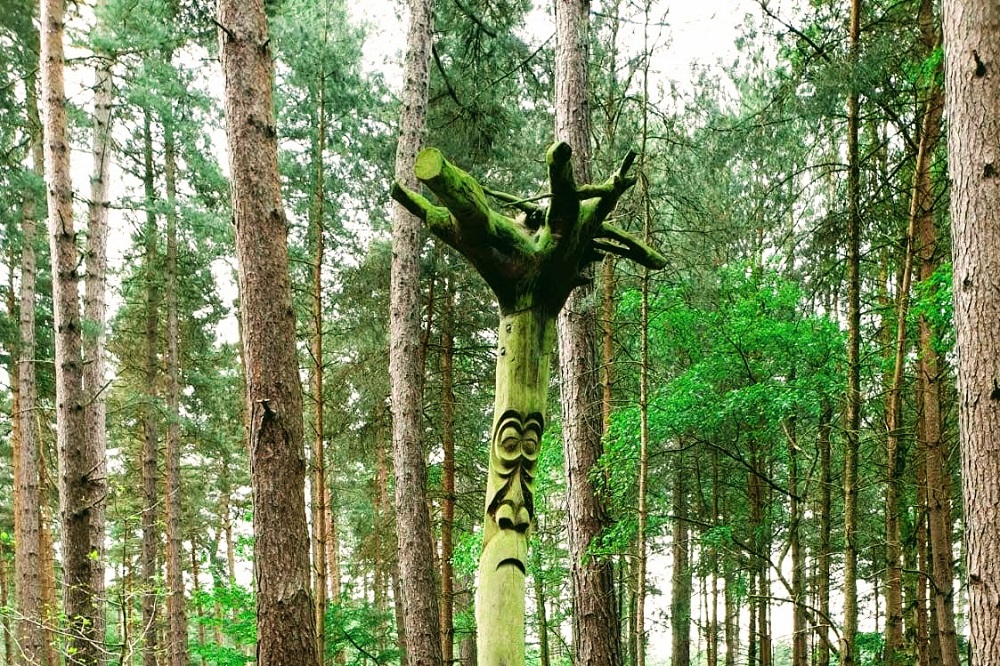 Back At Parkrun: #LinkUp #WordlessOrNotSoWordless