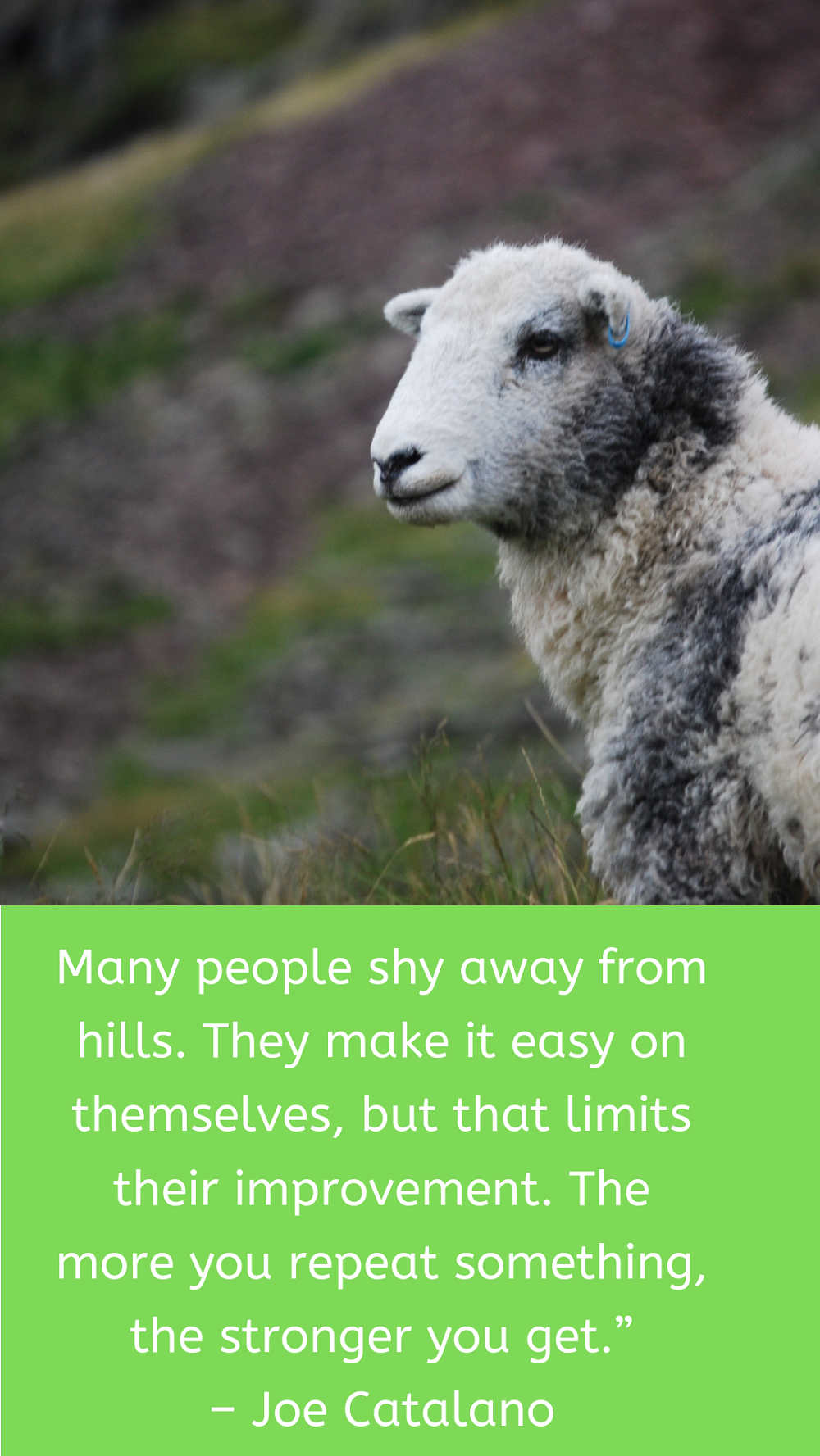 Embrace The Weekend Vibes With These 5 Fry Day Quotes: Embrace The Weekend Vibes With These 5 Fry Day Quotes