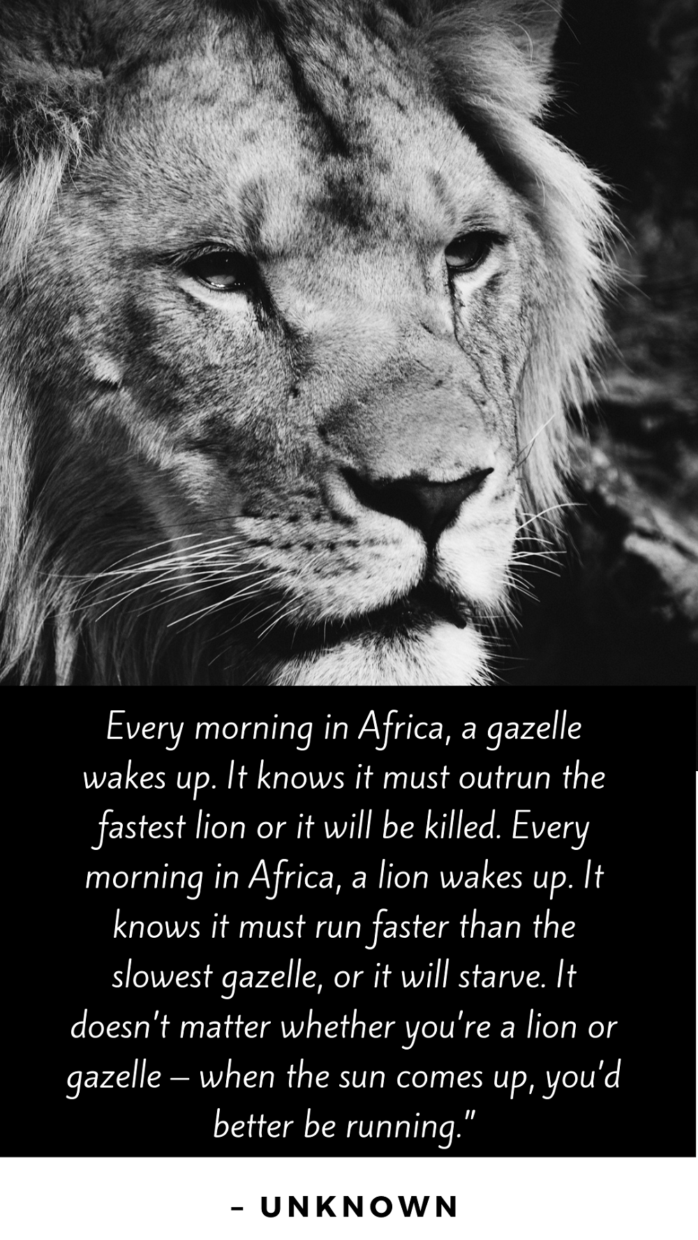 Diet And Fitness Mondays: An Emotional Week