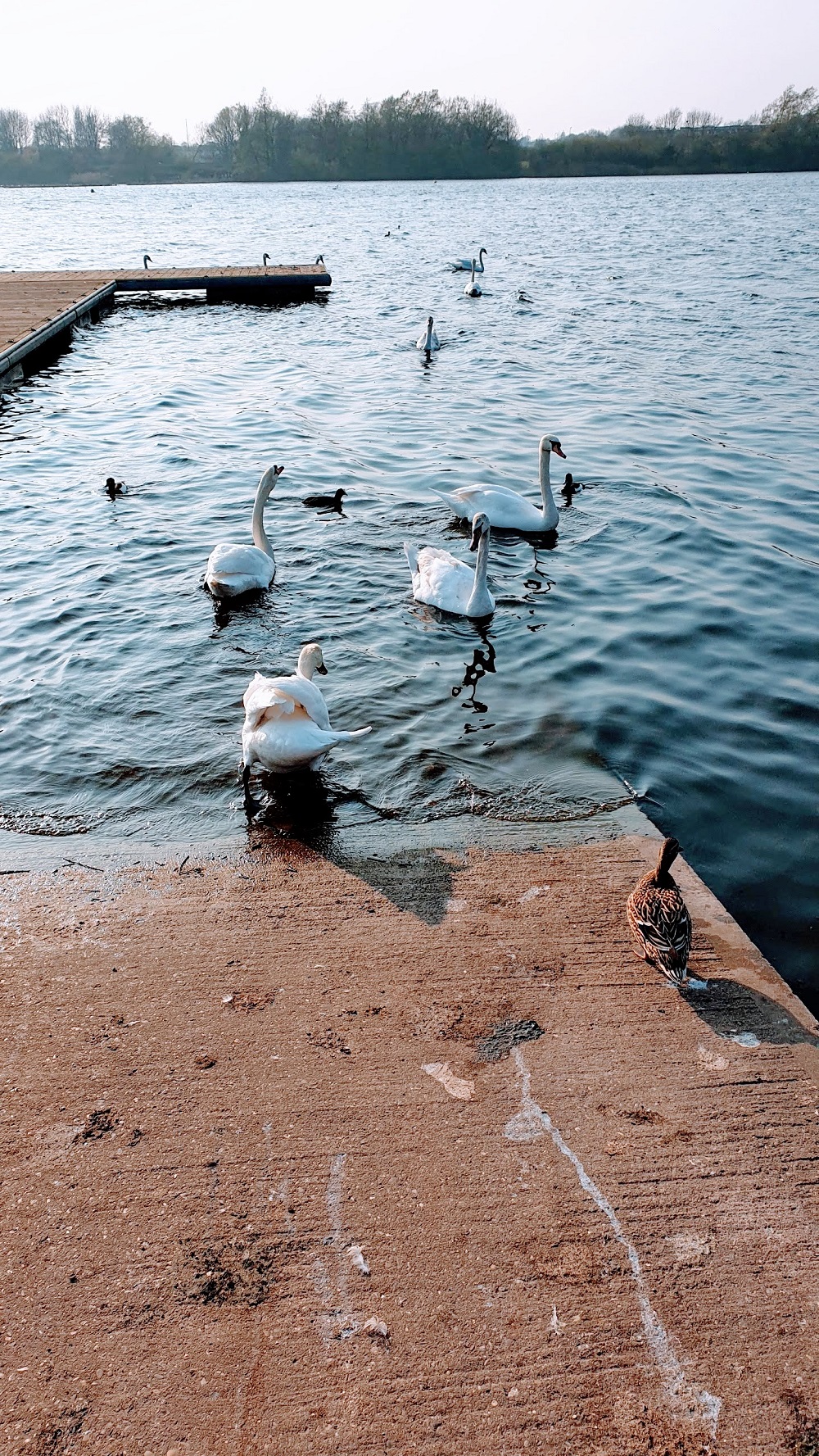 Walk Around King's Mill Reservoir Walk Around King's Mill Reservoir