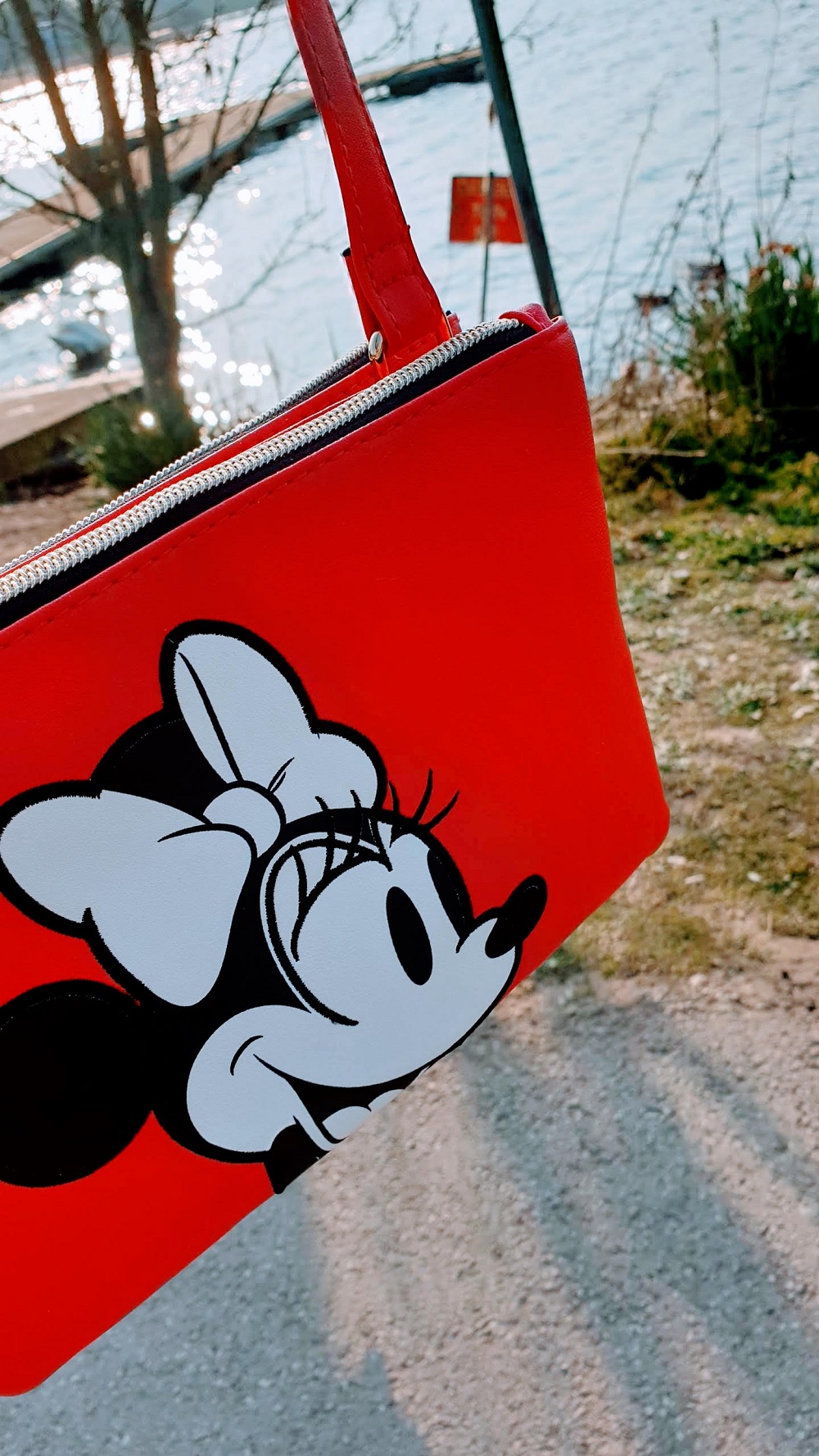 Walk Around King's Mill Reservoir Minnie Mouse Bag