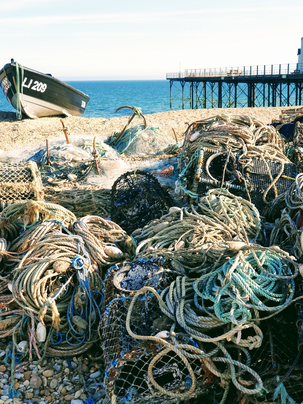 The Sea Shore: Summer