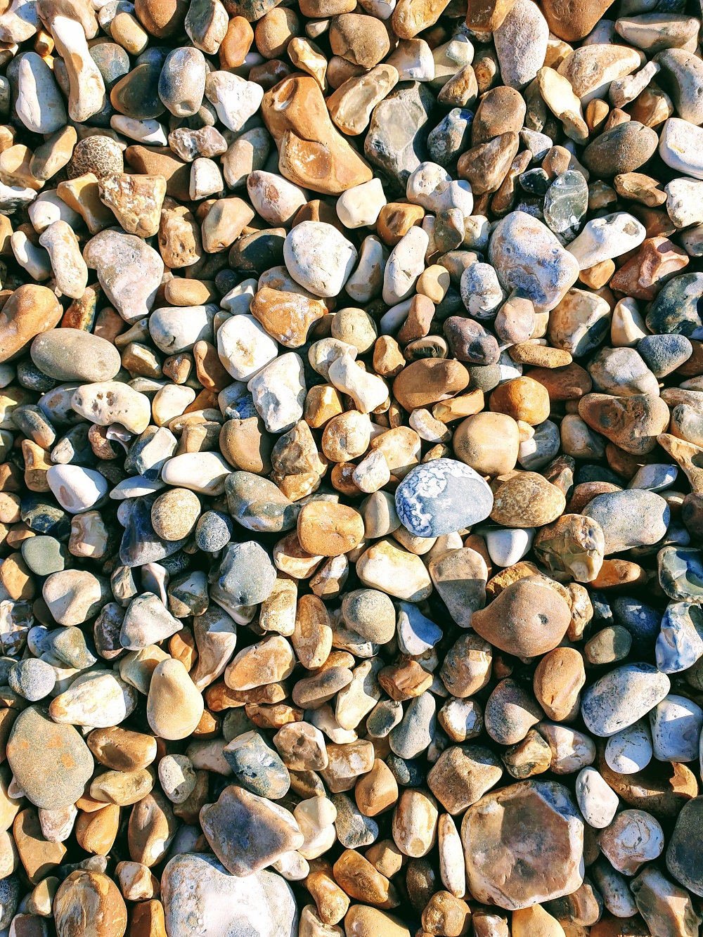 Checked Shirt, Holiday Fun And A Titanic Pose Pebbles on the beach