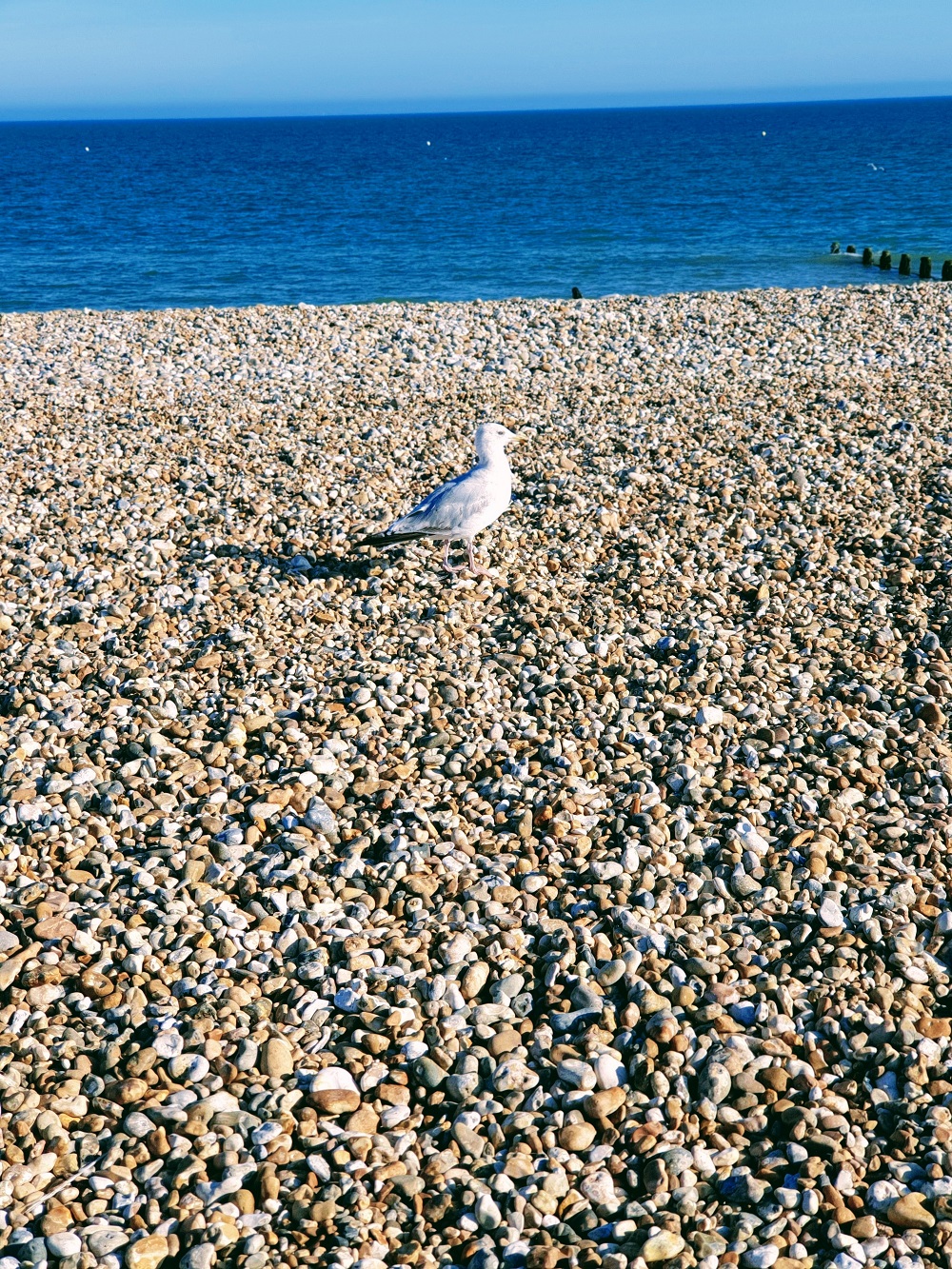 Checked Shirt, Holiday Fun And A Titanic Pose Beach fun