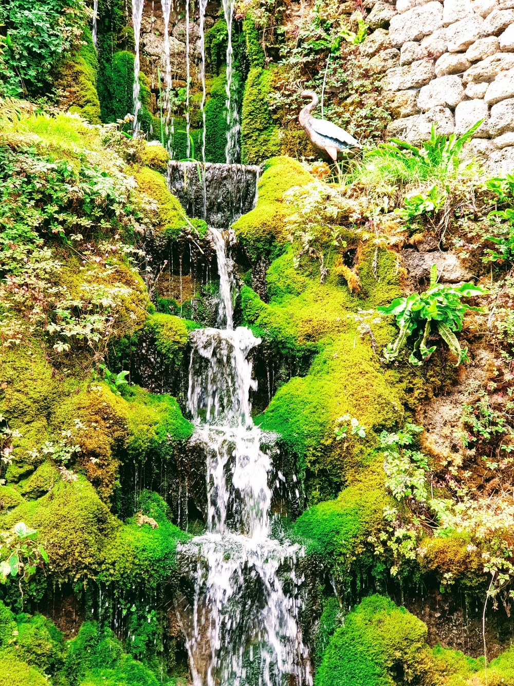 Monday Motivational Quote & Matlock, Derbyshire Monday Motivational Quote & Matlock, Derbyshire