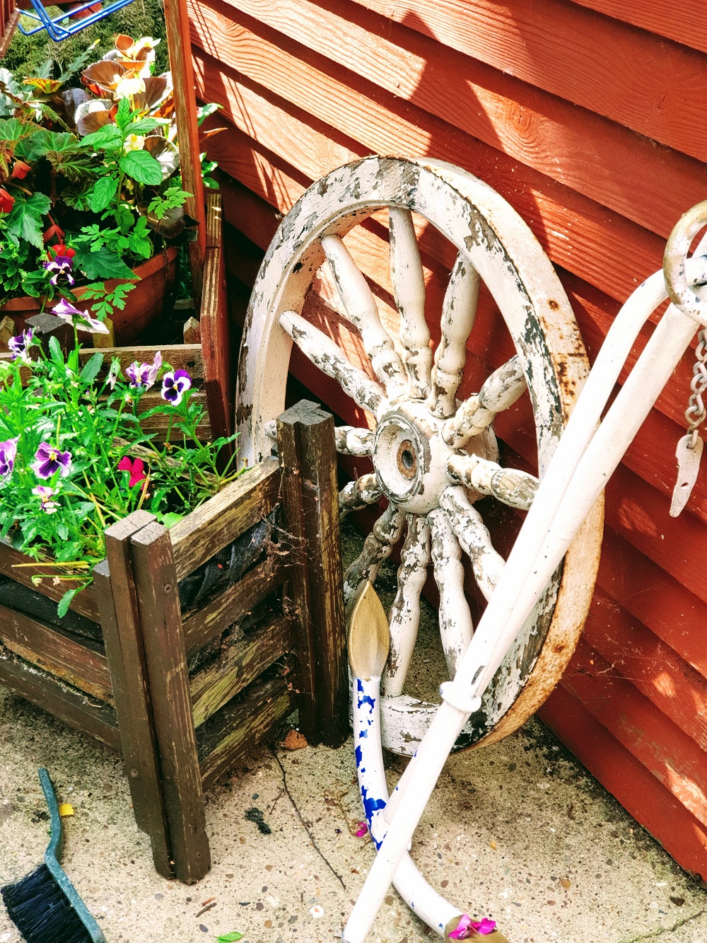 Mollie The Collie #WordlessWednesday Linky