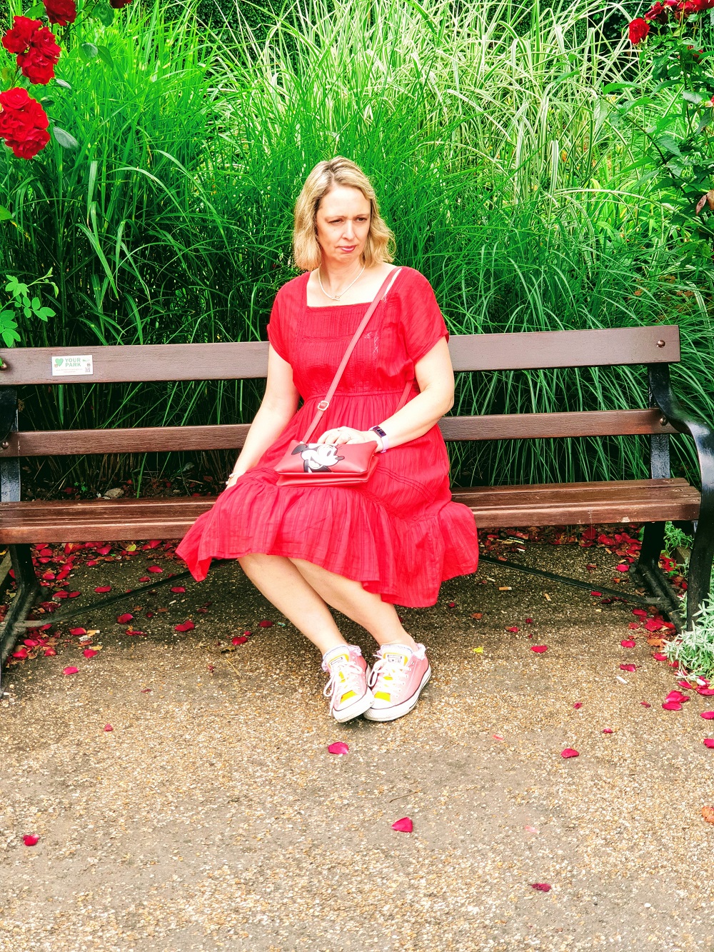 I Never Promised You A Rose Garden