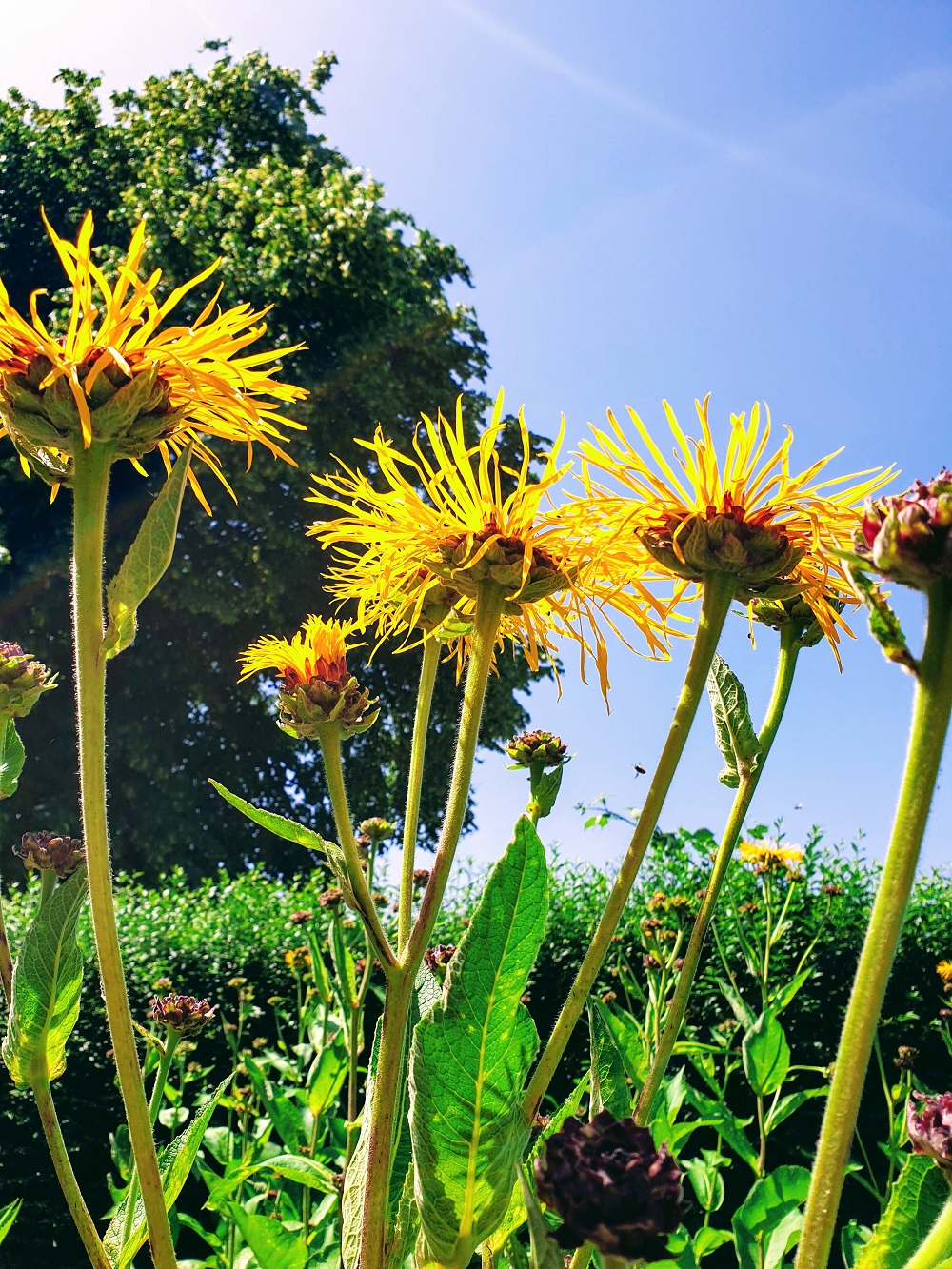 4/07 Welcome To The Weekend Blog Hop: Link Up Your Favourite Posts