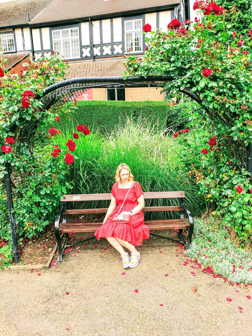 I Never Promised You A Rose Garden