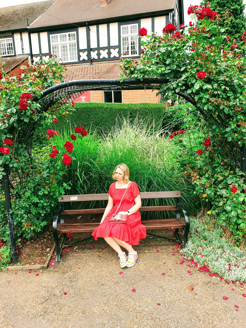 I Never Promised You A Rose Garden