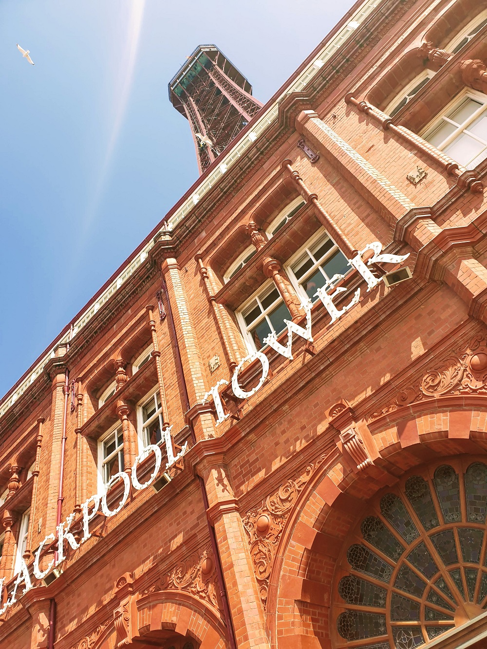 7 Years Ago I Created Blackpool Tower From Shoes