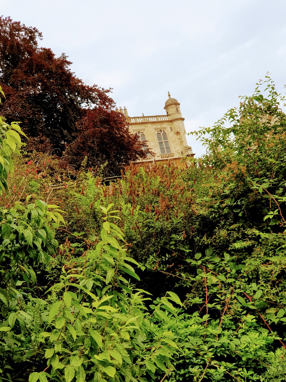 Looking Back On Fun Time And Wearing Fun Dresses Looking Back On Fun Time And Wearing Fun Dresses