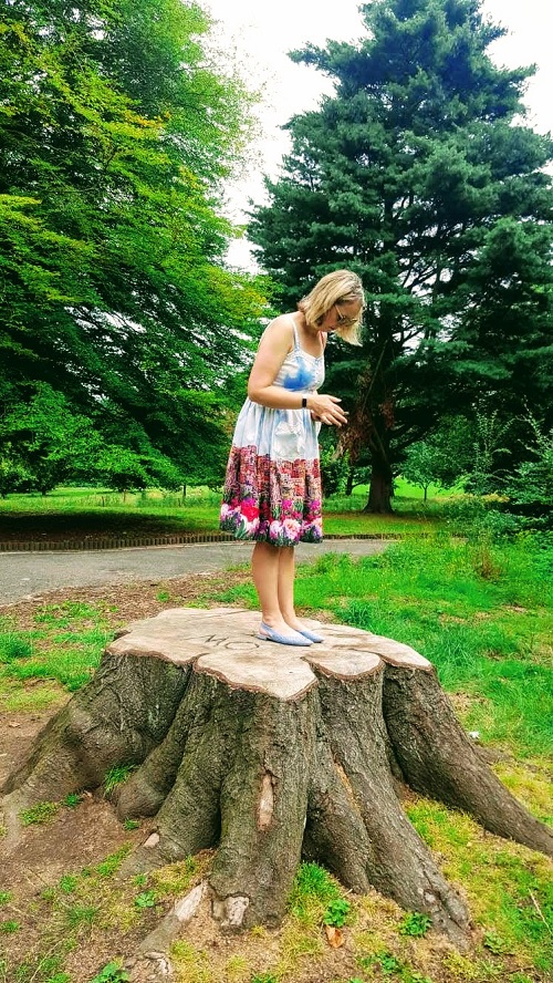 Behind The Camera In Wollaton Hall Behind The Camera In Wollaton Hall