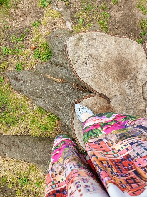 Behind The Camera In Wollaton Hall Behind The Camera In Wollaton Hall