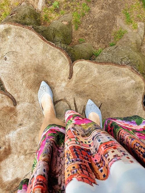 Behind The Camera In Wollaton Hall Behind The Camera In Wollaton Hall
