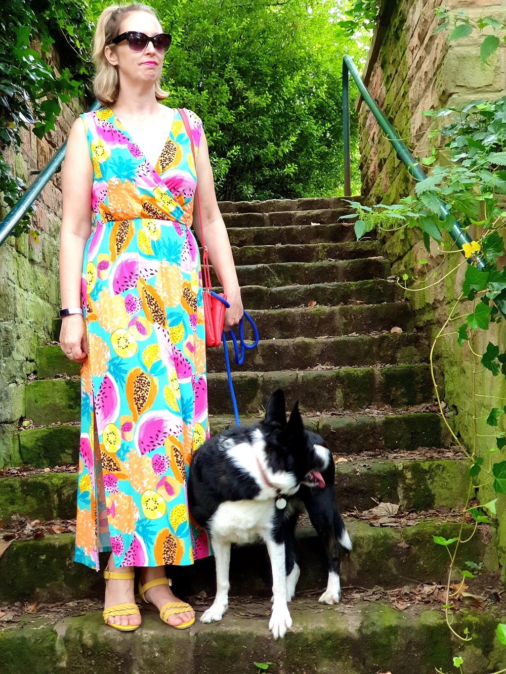 On Our Walk With Mollie The Collie: #WeekendLinkUp