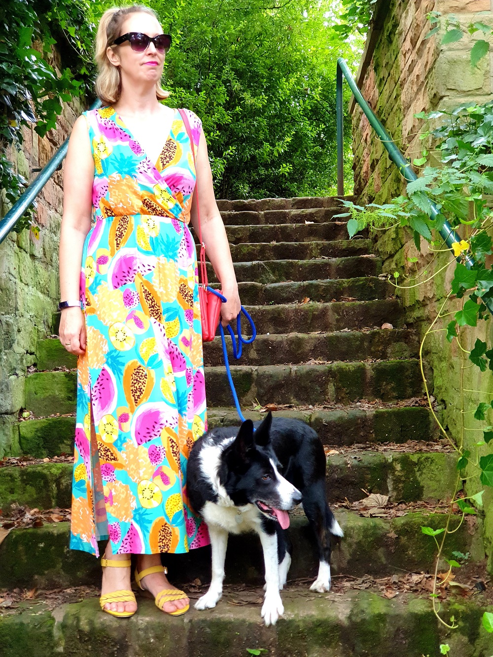 On Our Walk With Mollie The Collie: #WeekendLinkUp