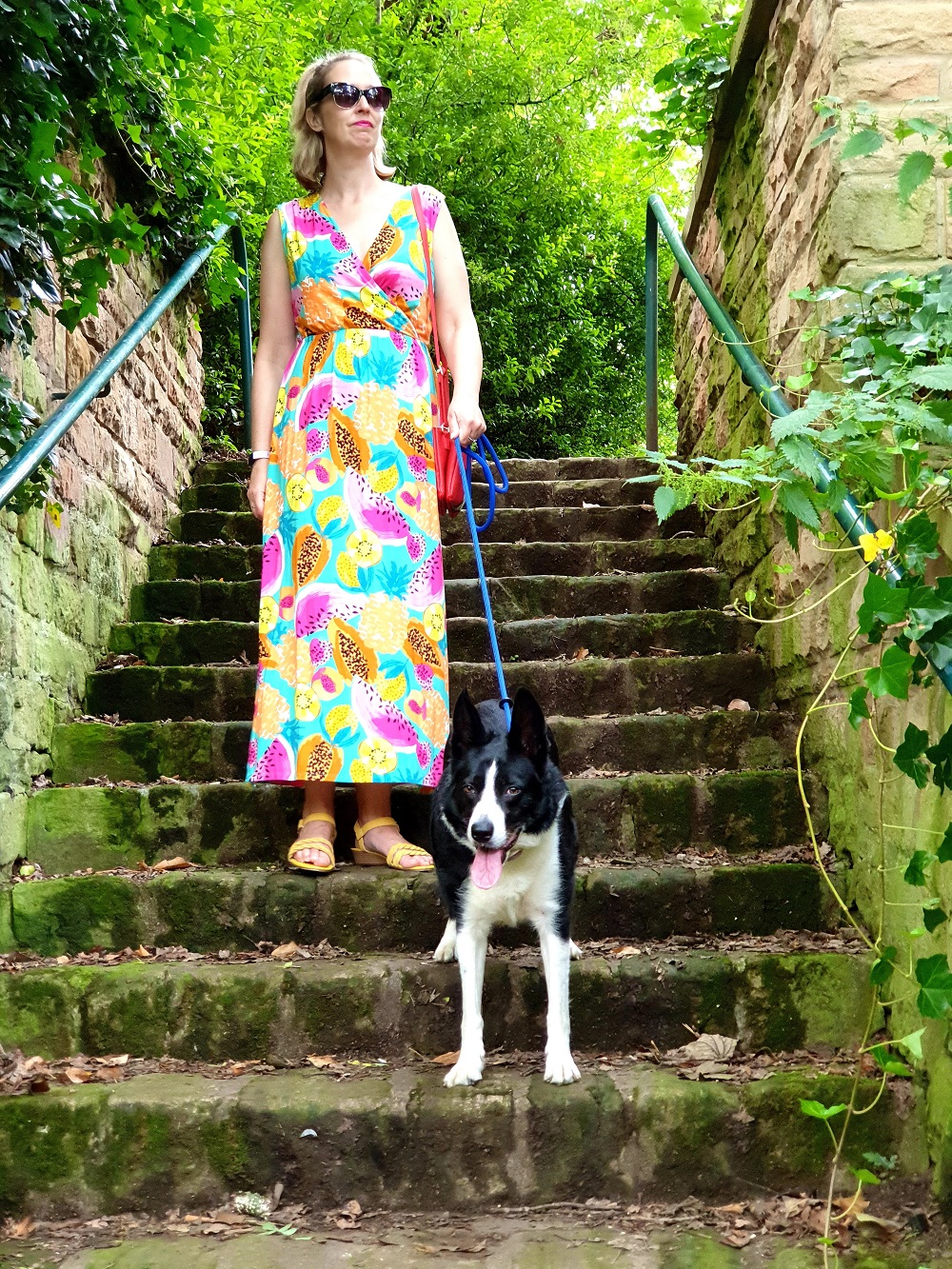 On Our Walk With Mollie The Collie: #WeekendLinkUp