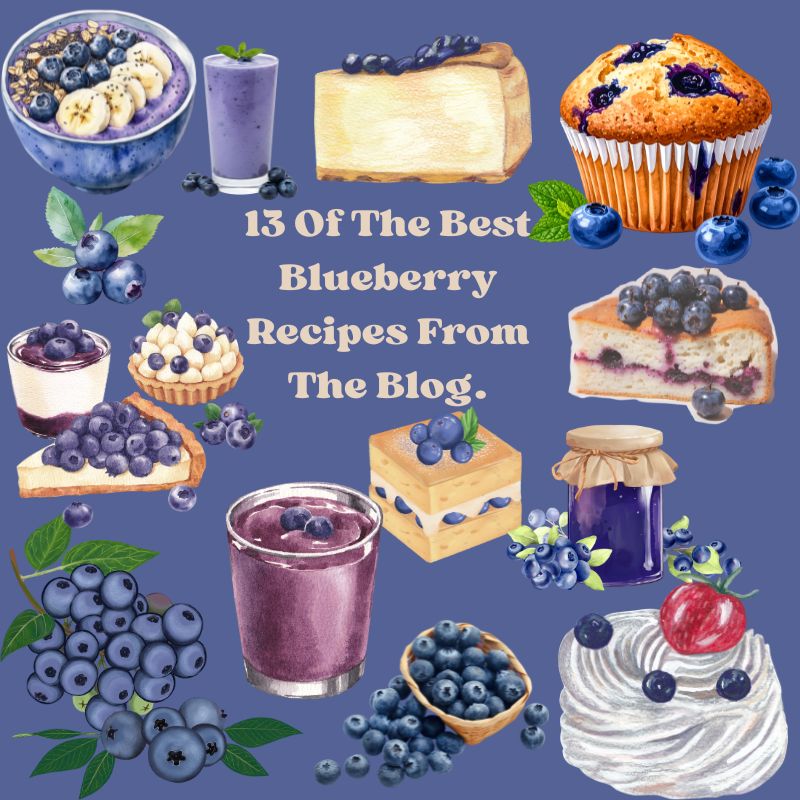 13 Of The Best Blueberry Recipes From The Blog
