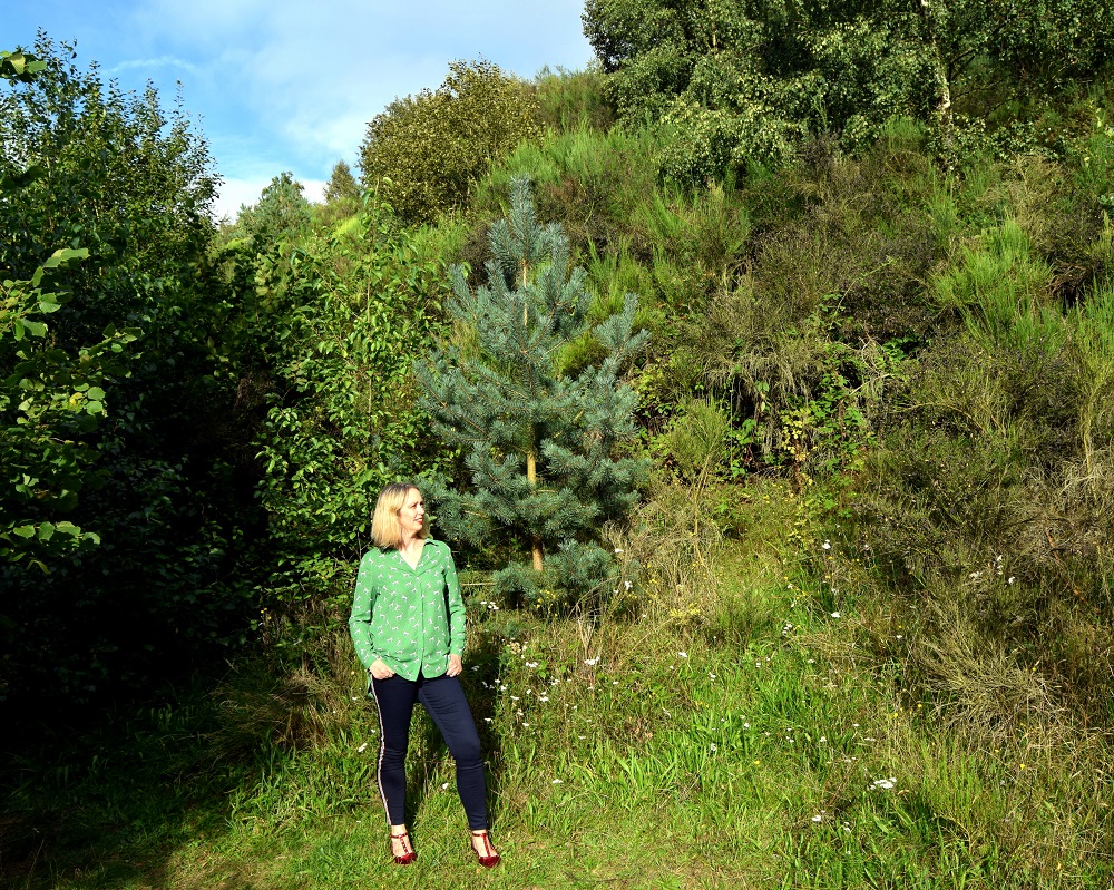 Dalmatian Shirt From Tu Clothing