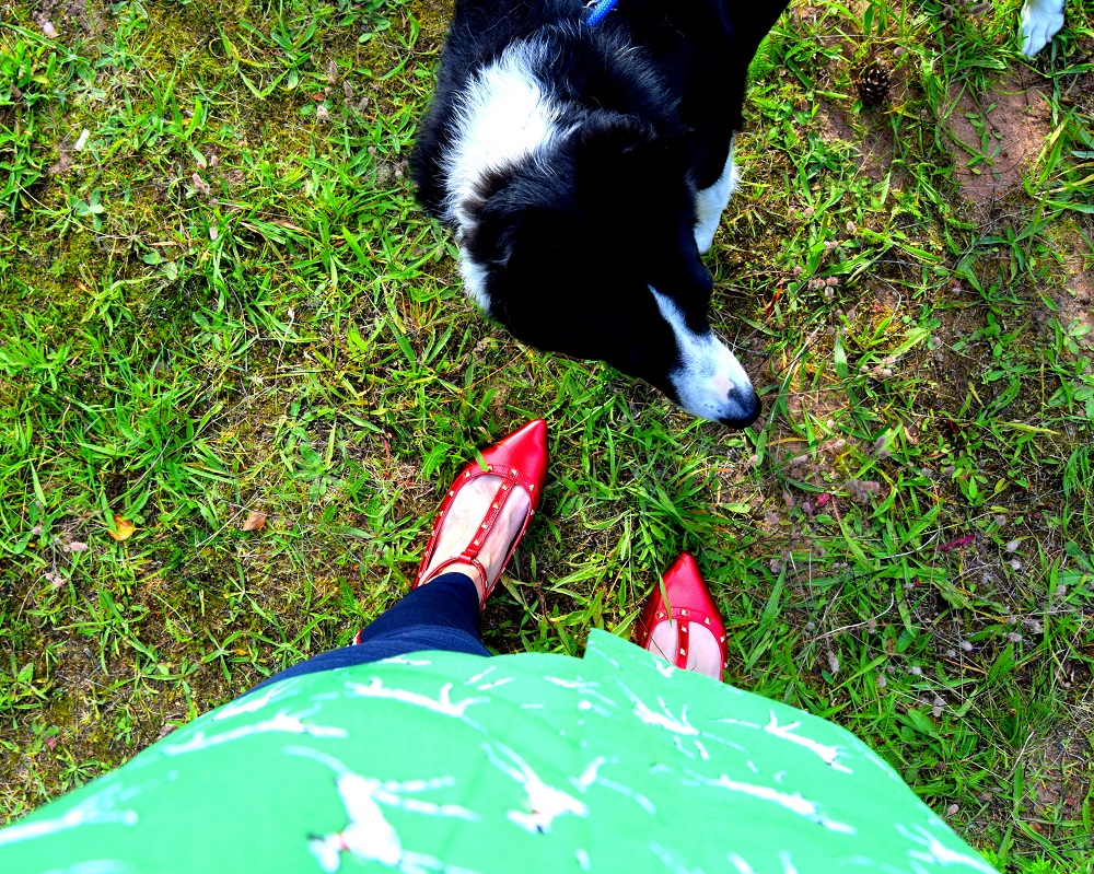 Dalmatian Shirt From Tu Clothing