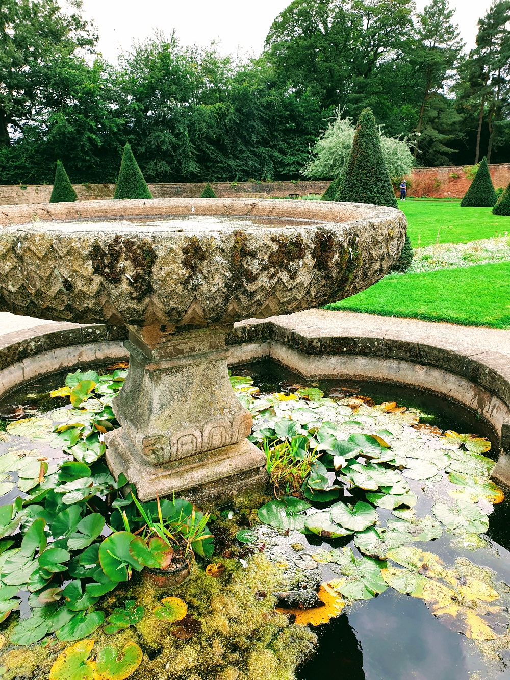 When Life Throws You Lemons, Wear Them!! 