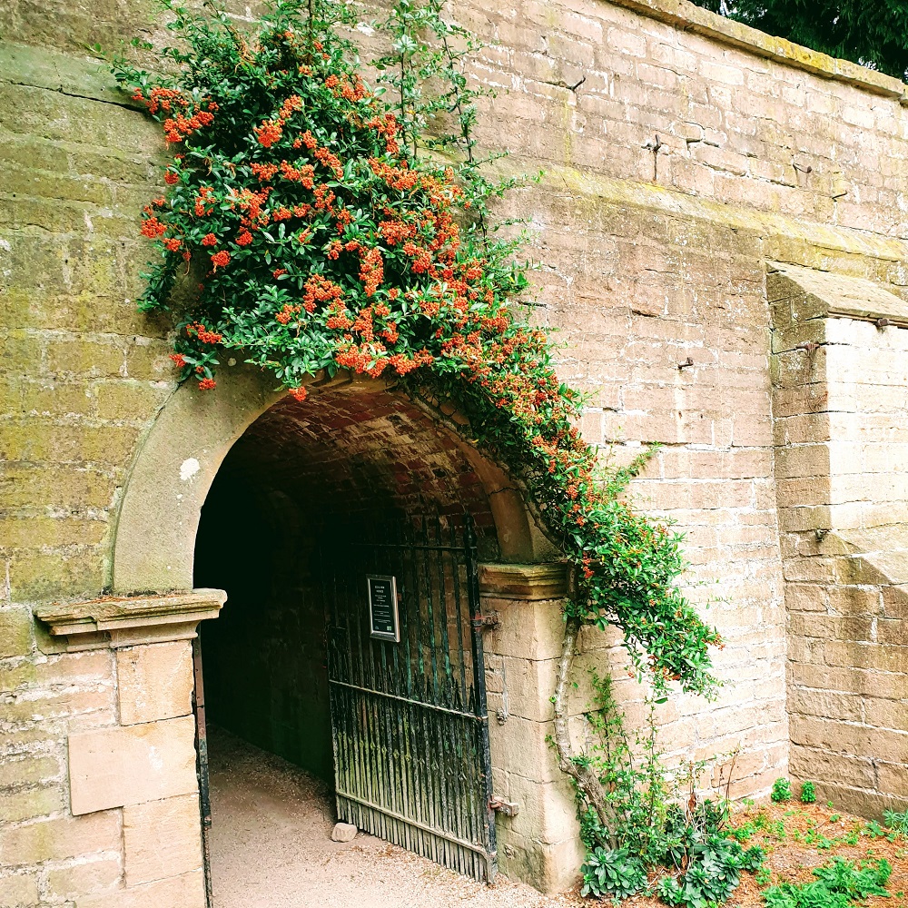 When Life Throws You Lemons, Wear Them!!