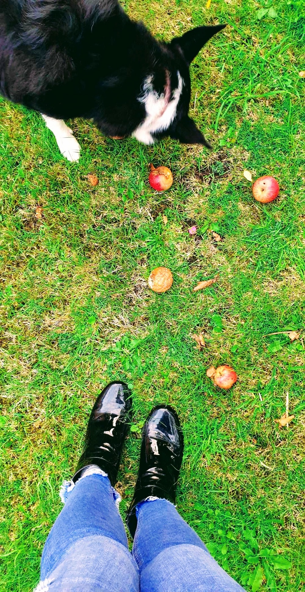 The Fashion Blogger & Her Beautiful Mollie