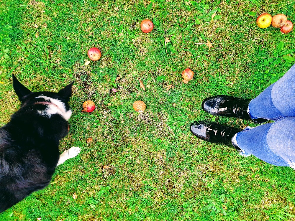 The Fashion Blogger & Her Beautiful Mollie