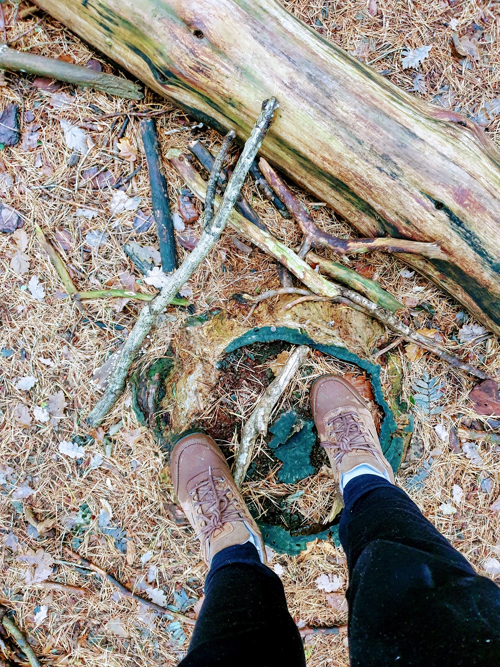 One Woman And Her Dog