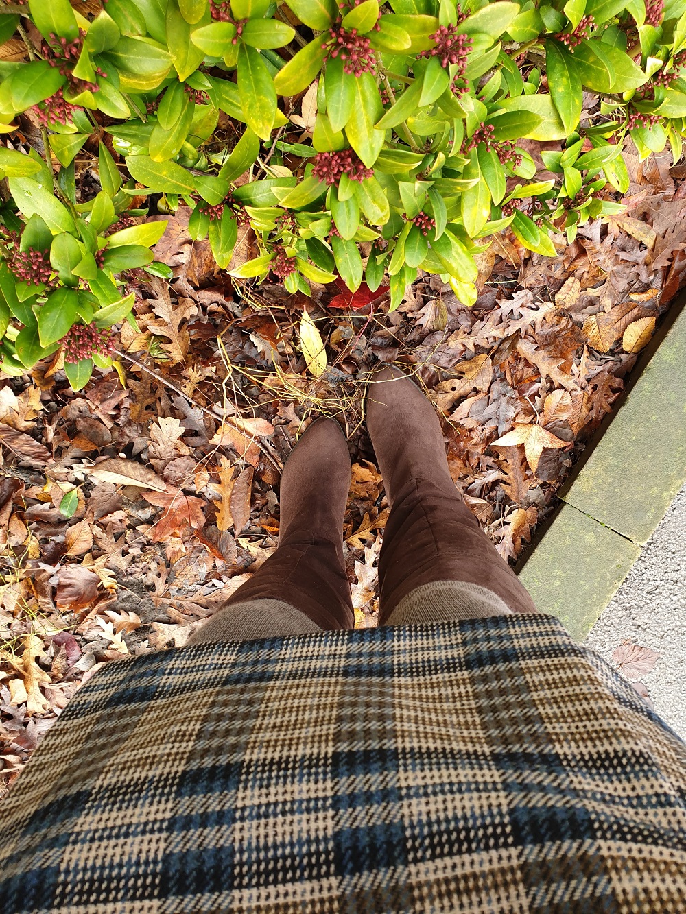 Long Boots And Faux Fur Coat Long Boots And Faux Fur Coat