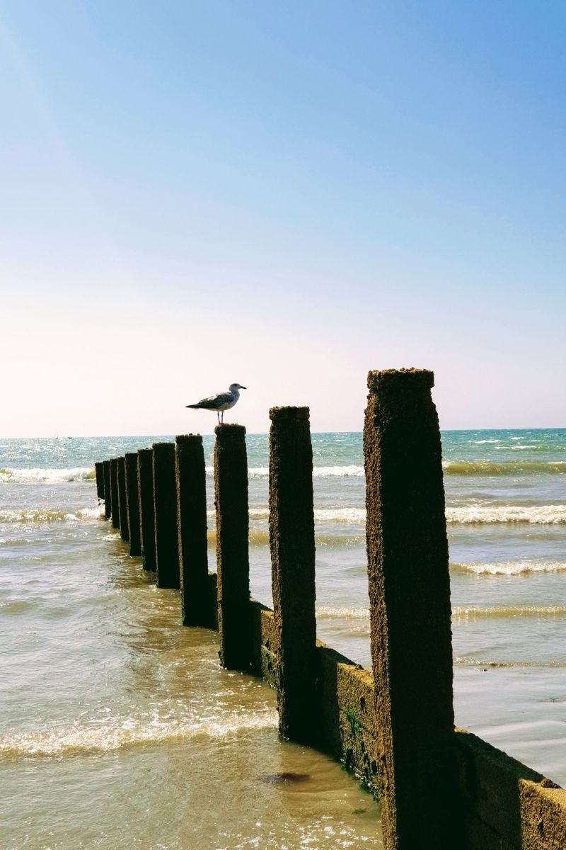 17 Reasons I’m Actually Excited for Summer (Style, Life & Joy After 50) 17 Reasons I’m Actually Excited for Summer (Style, Life & Joy After 50)