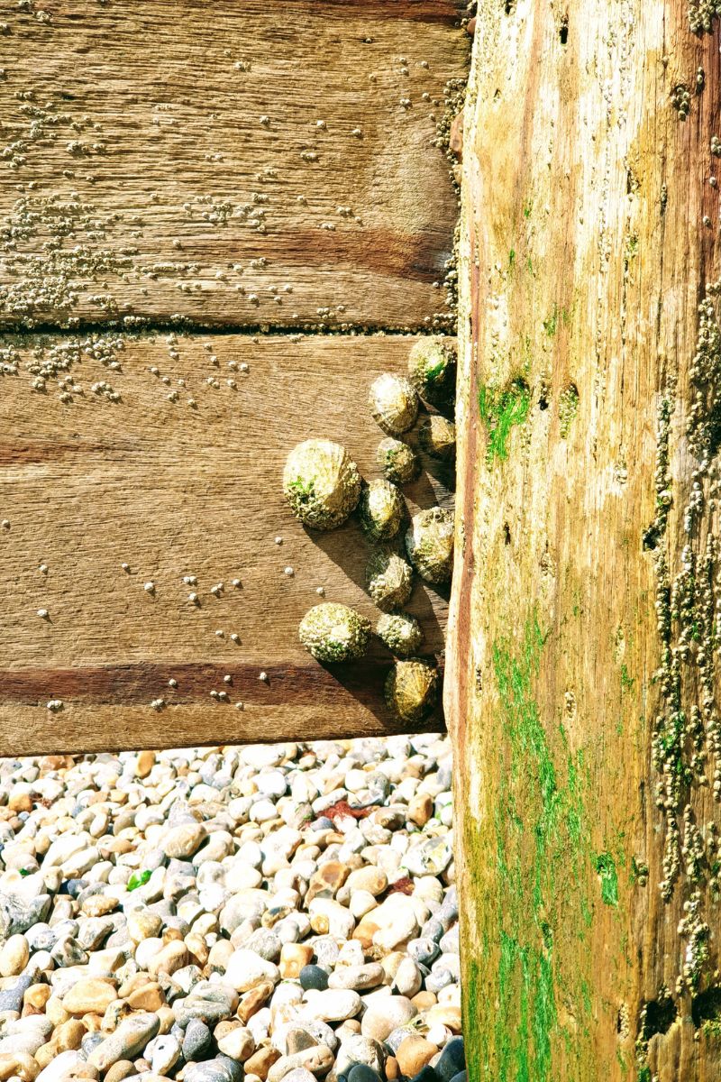 17 Reasons I’m Actually Excited for Summer (Style, Life & Joy After 50) Style, Life & Joy After 50